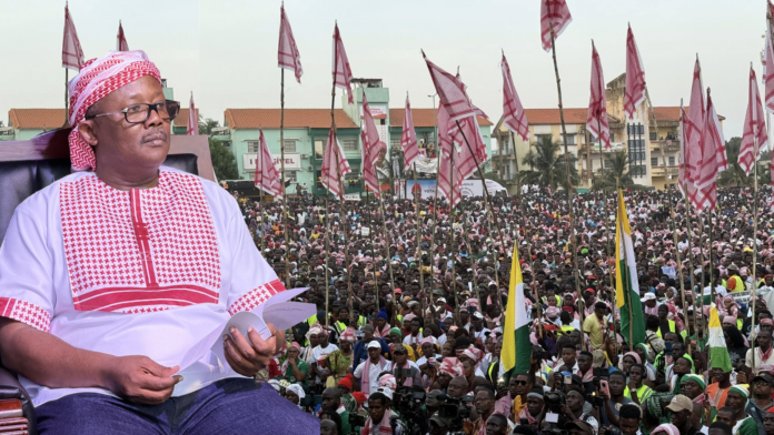 campanha guiné-bissau capa