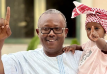 Crónica Política: O Povo Confiante e a Força da Estabilidade