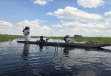 O LUXO É A AUSÊNCIA DE PRESSA