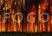 FOGO…