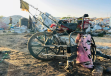 FACE AO GENOCÍDIO DE GAZA, A BRANDURA DE PORTUGAL