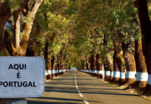 UM PAÍS À PROCURA DE SI PRÓPRIO