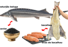 OVAS DE BACALHAU OU CAVIAR