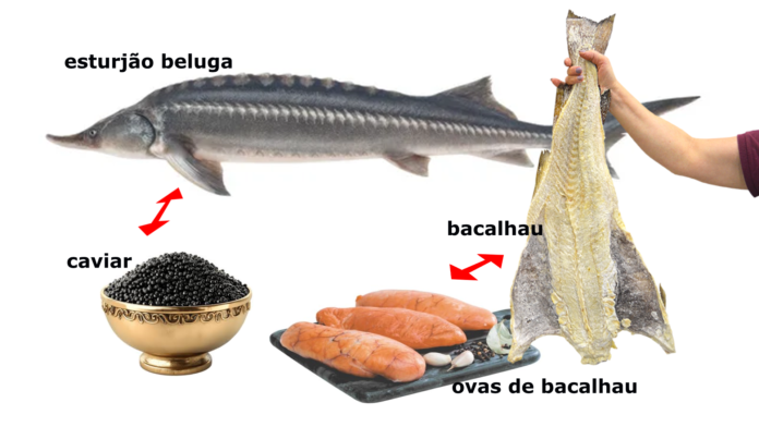 caviar ou ovas de bacalhau