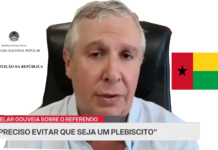 SOBRE O REFERENDO À CONSTITUIÇÃO DA GUINÉ-BISSAU